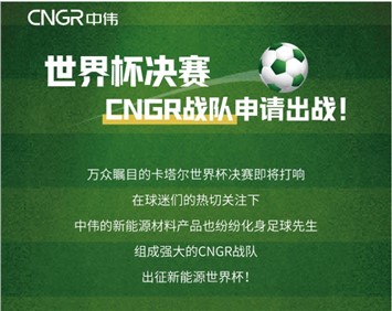 世界杯決賽 | CNGR戰隊申請出戰！